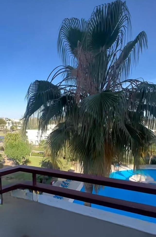 Bright Apartment In Puerto Alcudia Port de Alcudia  Εξωτερικό φωτογραφία